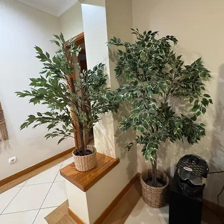 T2 Boulevard Apartmán